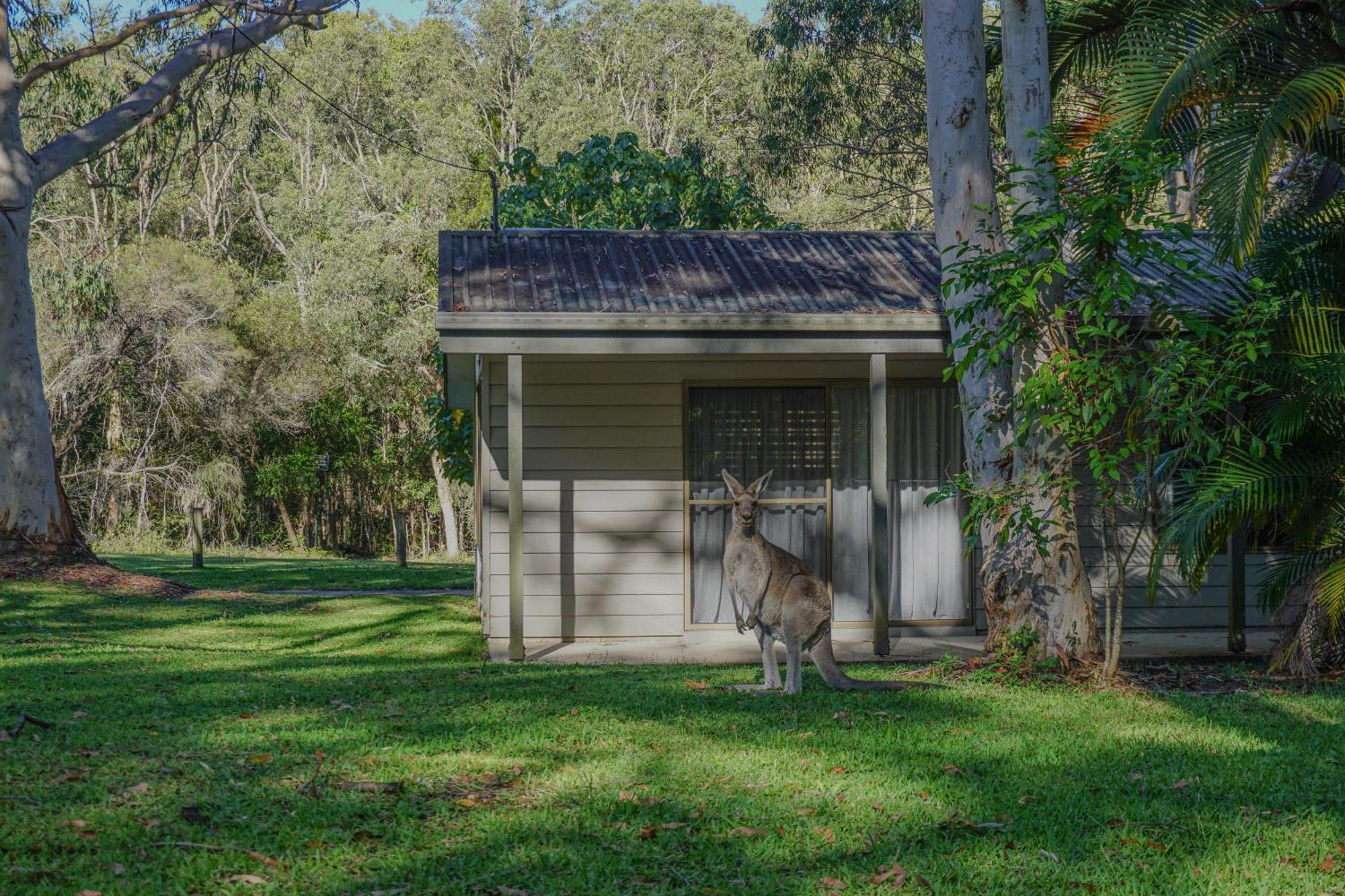 Big4 Noosa North Shore Exterior foto